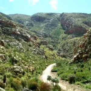 A rugged gravel road winding through the mountainous Klein Karoo, reflecting the vast distance KAPS covers.