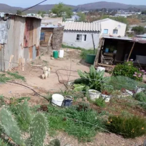 A remote rural area in Nissenville showing impoverished living conditions and a dog in the yard.