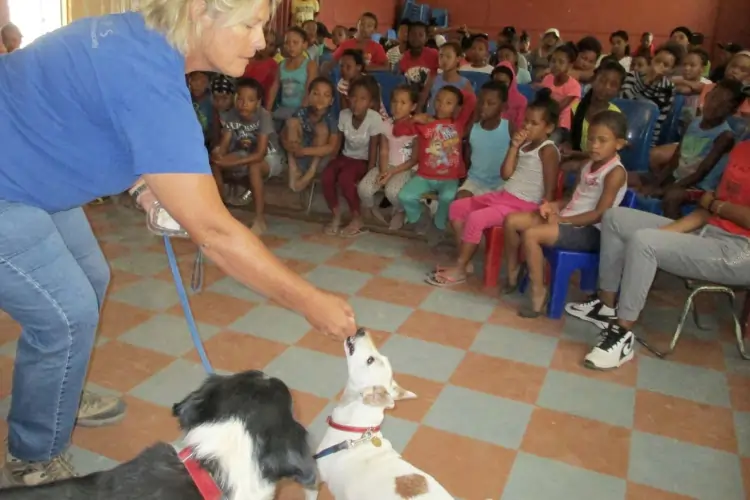 Karoo Animal Protection Society KAPS
